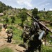 kivuCONGO012 thumbnail