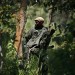 LES TROUPES DE L'ARMEE GOUVERNEMENTALE DU CONGO, REORGANISENT LEURS POSITIONS DANS LA REGION NORD-KIVU. thumbnail