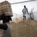 VIE QUOTIDIENNE EN HAITI 10 MOIS APRES LE SEISME/ DAILY LIFE IN HAITI 10 MONTHS AFTER THE EARTHQUAKE thumbnail