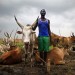 REPORTAGE DANS LE VILLAGE DE KANAL, DANS L'ETAT DE JONGLEI, AU SUD SOUDAN. thumbnail