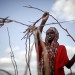 LE CAMP DE DADAAB, A L'EST DU KENYA, EST CONSIDERE COMME LE PLUS GRAND CAMP DE REFUGIES AU MONDE. thumbnail