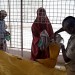 DISTRIBUTION ALIMENTAIRE ORGANISEE PAR L'ONG CARE ET LE WFP (PAM). thumbnail