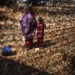 LE CAMP DE DADAAB, A L'EST DU KENYA, EST CONSIDERE COMME LE PLUS GRAND CAMP DE REFUGIES AU MONDE. L'UN DES CENTRES DE SANTE DE MSF. thumbnail