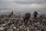 ACTION DE L'ASA, SOUTENUE PAR LA FONDATION RAOUL FOLLEREAU, POUR LA REINSERTION DE FAMILLES VENANT DE BIDONVILLES DANS LES CAMPAGNES. thumbnail