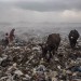 ACTION DE L'ASA, SOUTENUE PAR LA FONDATION RAOUL FOLLEREAU, POUR LA REINSERTION DE FAMILLES VENANT DE BIDONVILLES DANS LES CAMPAGNES. thumbnail