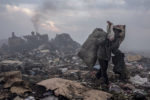 ACTION DE L'ASA, SOUTENUE PAR LA FONDATION RAOUL FOLLEREAU, POUR LA REINSERTION DE FAMILLES VENANT DE BIDONVILLES DANS LES CAMPAGNES. thumbnail