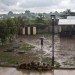 REPORTAGE EN REPUBLIQUE CENTRAFRICAINE. thumbnail