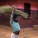LA SITUATION EN CENTRAFRIQUE. thumbnail