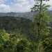 REPORTAGE SUR LES RESSOURCES EN OR EN HAITI thumbnail