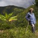 REPORTAGE SUR LES RESSOURCES EN OR EN HAITI thumbnail