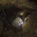 REPORTAGE SUR LES RESSOURCES EN OR EN HAITI thumbnail
