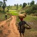 REPORTAGE SUR LES RESSOURCES EN OR EN HAITI thumbnail