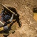 REPORTAGE SUR LES RESSOURCES EN OR EN HAITI thumbnail