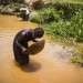REPORTAGE SUR LES RESSOURCES EN OR EN HAITI thumbnail