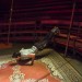 LES COULISSES DU CIRQUE ROMANES. thumbnail