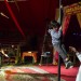 LES COULISSES DU CIRQUE ROMANES. thumbnail