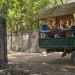 HAITI AUTREMENT thumbnail