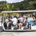 HAITI PARK: UNE ENCLAVE TOURISTIQUE EN HAITI thumbnail