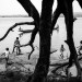 REFUGEES FROM CAR JUST ARRIVED IN THE UNHCR BILI CAMP, IN NORTH CONGO DRC. thumbnail