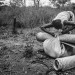 REFUGEES FROM CAR LIVE FROM SEVERAL MONTHS ALONG THE UBANGUI RIVER, IN NORTH CONGO DRC. thumbnail