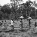 REFUGEES FROM CAR LIVE FROM SEVERAL MONTHS ALONG THE UBANGUI RIVER, IN NORTH CONGO DRC. thumbnail
