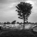 REFUGEES FROM CAR JUST ARRIVED IN THE UNHCR BILI CAMP, IN NORTH CONGO DRC. thumbnail