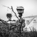 REFUGEES FROM CAR LIVE FROM SEVERAL MONTHS ALONG THE UBANGUI RIVER, IN NORTH CONGO DRC. thumbnail