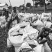 REFUGEES FROM CAR JUST ARRIVED IN THE UNHCR BILI CAMP, IN NORTH CONGO DRC. thumbnail