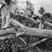 REFUGEES FROM CAR JUST ARRIVED IN THE UNHCR BILI CAMP, IN NORTH CONGO DRC. thumbnail