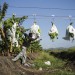 HAITI AUTREMENT thumbnail