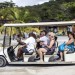 HAITI PARK: UNE ENCLAVE TOURISTIQUE EN HAITI thumbnail