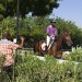 CENTRE EQUESTRE D'HAITI. thumbnail