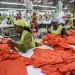 LE PARC INDUSTRIEL DE CARACOL, DANS LA REGION NORD-EST D'HAITI. thumbnail