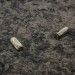 OBJETS PERDUS. thumbnail