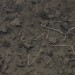 OBJETS PERDUS. thumbnail
