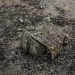 OBJETS PERDUS. thumbnail