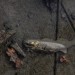 OBJETS PERDUS. thumbnail