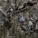 OBJETS PERDUS. thumbnail