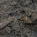 OBJETS PERDUS. thumbnail