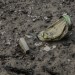 OBJETS PERDUS. thumbnail