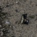 OBJETS PERDUS. thumbnail