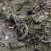 OBJETS PERDUS. thumbnail