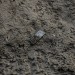OBJETS PERDUS. thumbnail