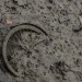 OBJETS PERDUS. thumbnail