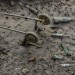 OBJETS PERDUS. thumbnail