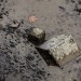 OBJETS PERDUS. thumbnail