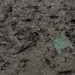 OBJETS PERDUS. thumbnail