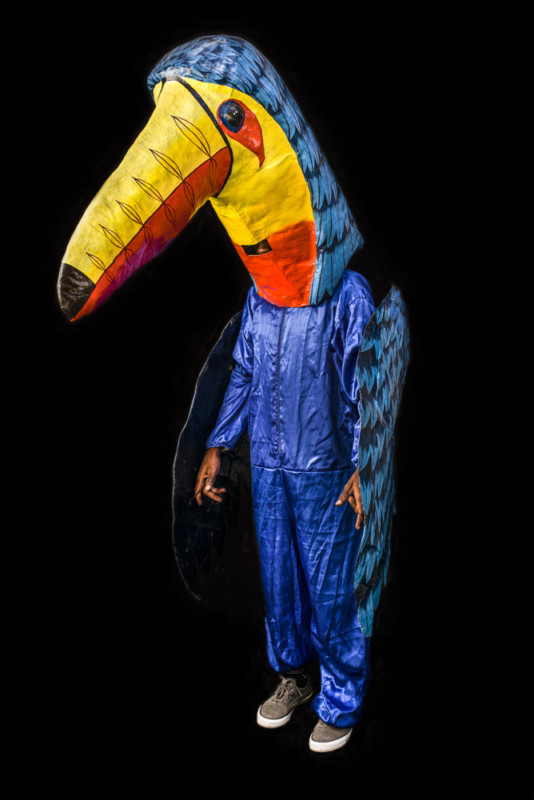 PORTRAITS DE COSTUMES LORS DU CARNAVALE DE JACMEL, HAITI 2016.