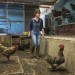 REPORTAGE SUR UNE CANDIDATE AUX LEGISLATIVES 2017, SANDRINE LE FEUR, DANS LA 4EME CIRCONSCRIPTION DU FINISTERE. thumbnail