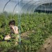 REPORTAGE SUR UNE CANDIDATE AUX LEGISLATIVES 2017, SANDRINE LE FEUR, DANS LE FINISTERE. thumbnail